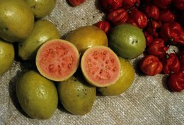 Archipel-des-Comores;-France;-Fruits;-Goyave;-Kaleidos;-Kaleidos-images;-La-parole-à-limage;-Laurent-Abad;-Légumes;-Mayotte;-Natte;-Océan-Indien;-Piments;-Stories-Pictures